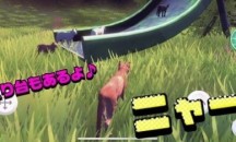 猫的春天安卓版v1.2.0
