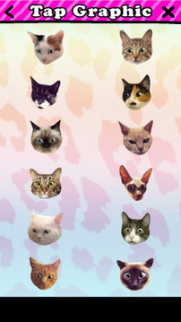 catwang安卓版v1.0
