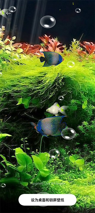 水族馆动态壁纸桌面屏保v4.0