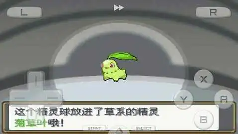 口袋妖怪心金魂银手机版v1.0