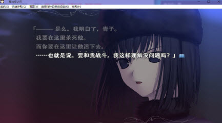 魔法使之夜安卓汉化安装v1.0
