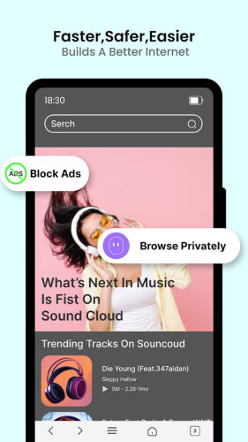 safari软件安装v1.4
