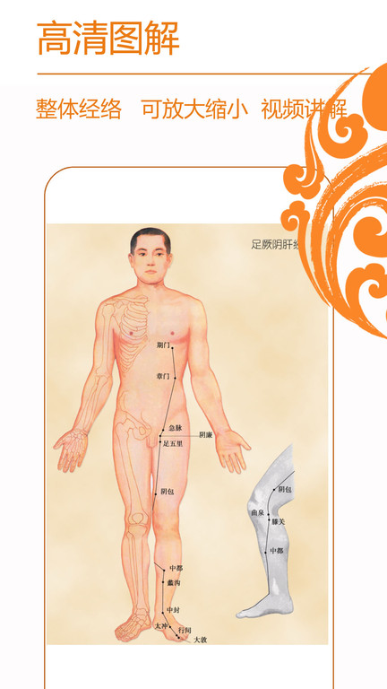 经络养生app最新版v3.8.1
