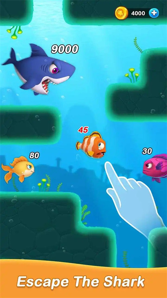 鱼儿物语海洋之旅v1.2.7
