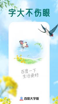 百度大字版安装最新版v2.1.0
