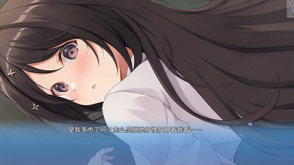 角色扮演之恋极乐公主手游中文版v1.0.0
