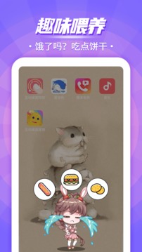 互动桌面oppo手机安装v2.4.3
