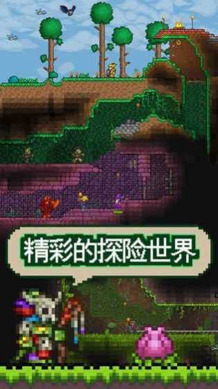 泰拉瑞亚1.4.4.9汉化版全物品v1.4.4

