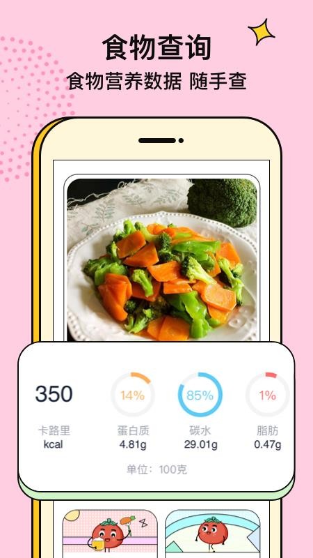 番茄闪轻app安装v1.4.2
