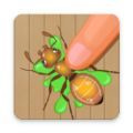 昆虫粉碎者BugSmasher游戏最新版
