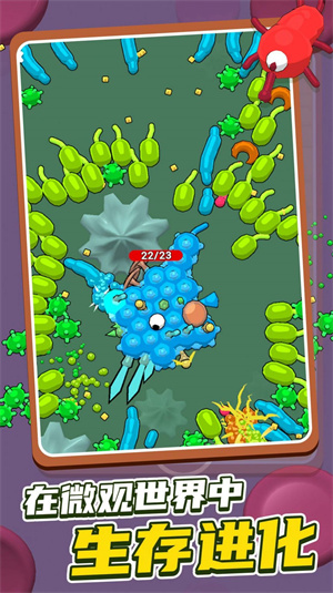 昆虫粉碎者BugSmasher游戏最新版v1.1.5
