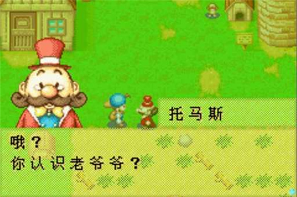 牧场物语官方版v2.0.0

