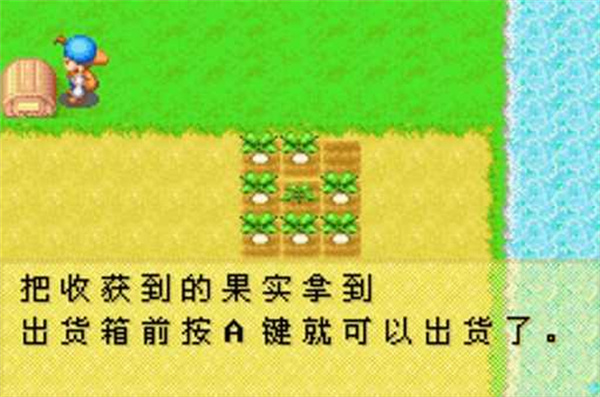 牧场物语官方版v2.0.0
