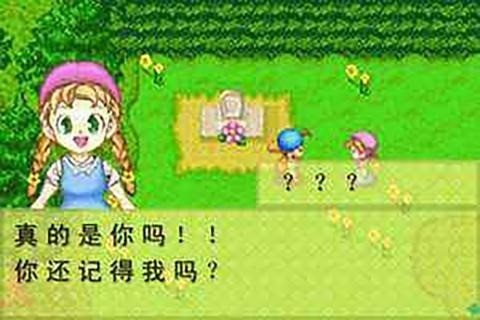 牧场物语2中文版v2
