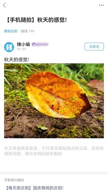 梯城网app安卓版v5.4.2
