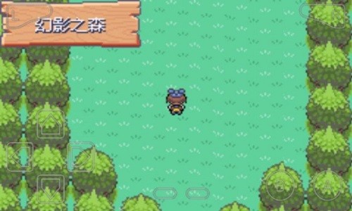 口袋妖怪漆黑的魅影官方正版v9.0.15
