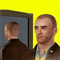 纽约人生安卓版