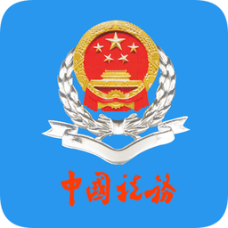 厦门税务app官网版