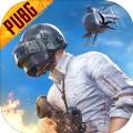 pubg国际服手游地铁逃生正版
