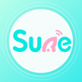 sure音频