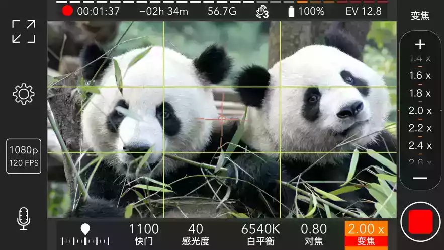 promovie专业相机免费安卓版v1.1
