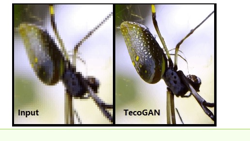 tecogan手机版2022最新版vv1.0
